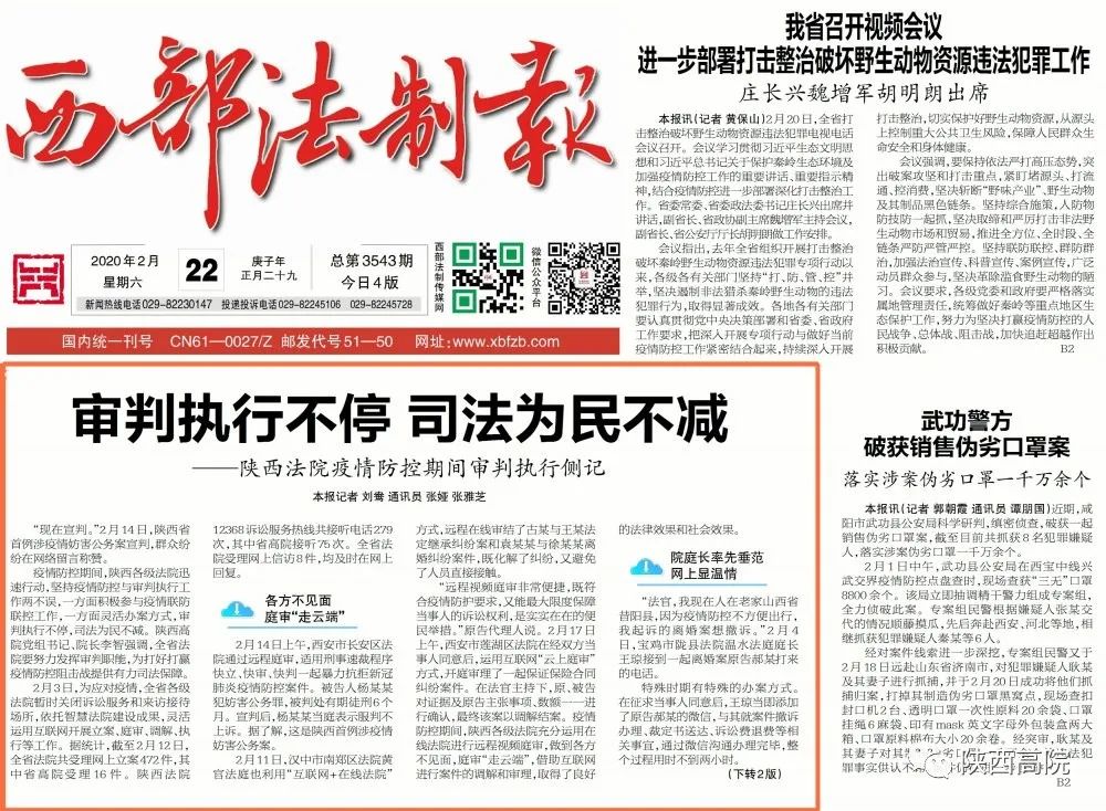 新闻发言人稿件：在镜头前精准发声的幕后艺术